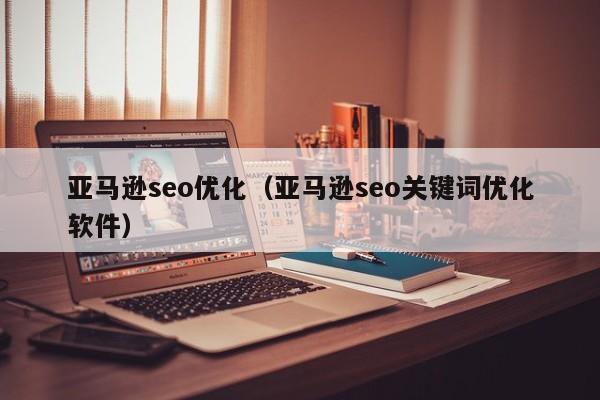 亚马逊seo优化（亚马逊seo关键词优化软件）