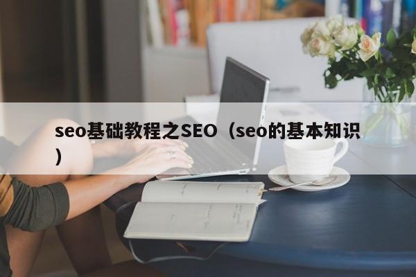 seo基础教程之SEO（seo的基本知识）