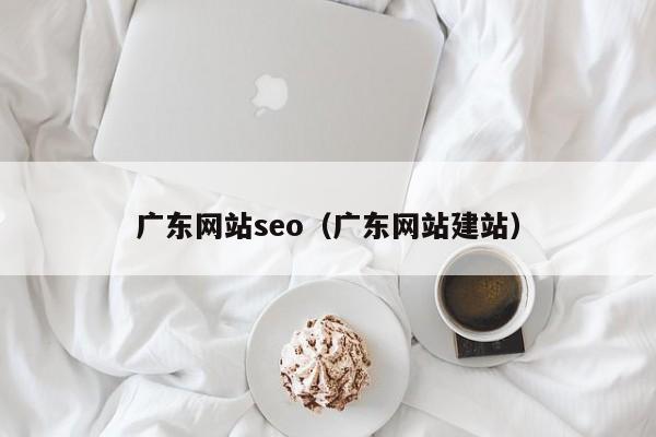 广东网站seo（广东网站建站）