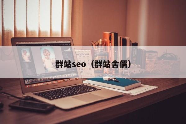 群站seo（群站舍儒）