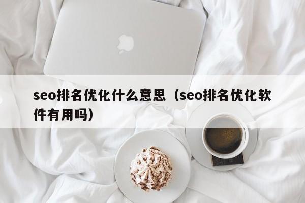 seo排名优化什么意思（seo排名优化软件有用吗）