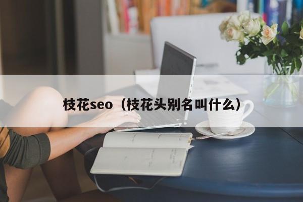 枝花seo（枝花头别名叫什么）