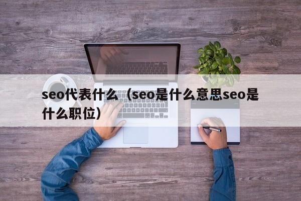 seo代表什么（seo是什么意思seo是什么职位）