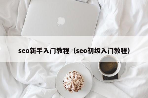 seo新手入门教程（seo初级入门教程）