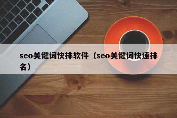 seo关键词快排软件（seo关键词快速排名）