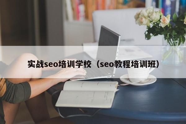 实战seo培训学校（seo教程培训班）