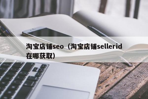 淘宝店铺seo（淘宝店铺sellerid在哪获取）