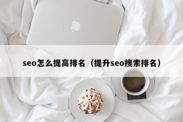 seo怎么提高排名（提升seo搜索排名）