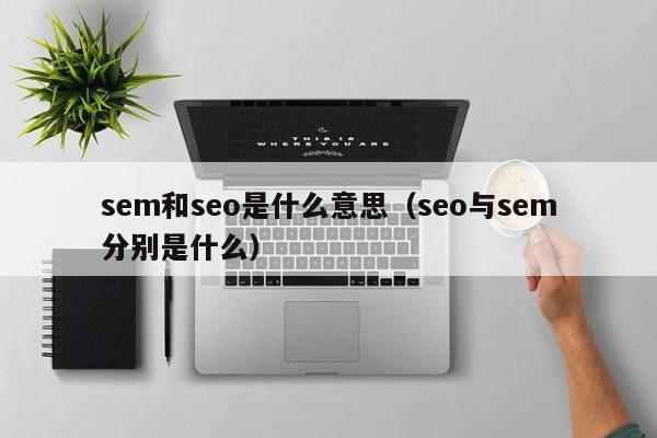 sem和seo是什么意思（seo与sem分别是什么）