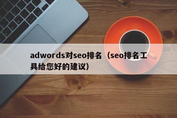 adwords对seo排名（seo排名工具给您好的建议）