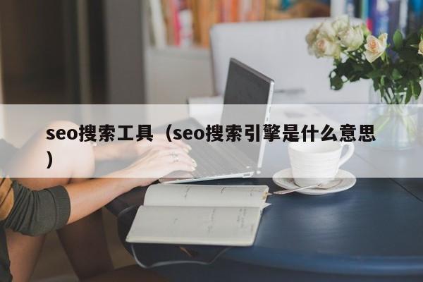 seo搜索工具（seo搜索引擎是什么意思）