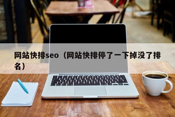 网站快排seo（网站快排停了一下掉没了排名）