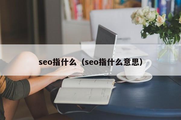 seo指什么（seo指什么意思）