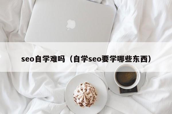 seo自学难吗（自学seo要学哪些东西）