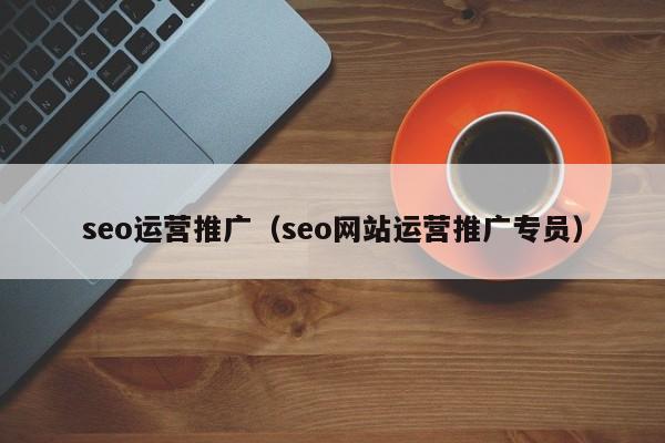 seo运营推广（seo网站运营推广专员）