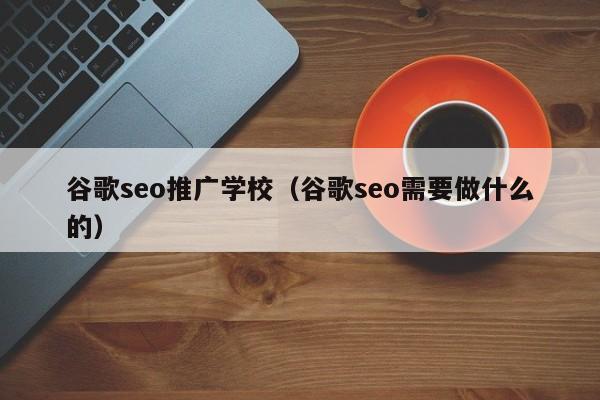 谷歌seo推广学校（谷歌seo需要做什么的）