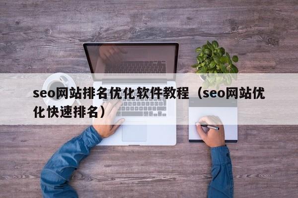 seo网站排名优化软件教程（seo网站优化快速排名）