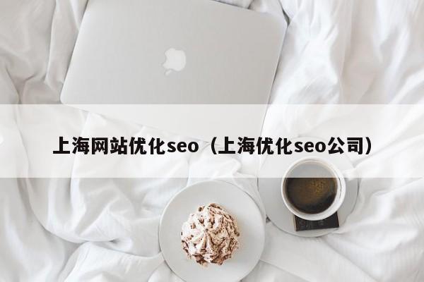 上海网站优化seo（上海优化seo公司）