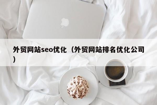 外贸网站seo优化（外贸网站排名优化公司）