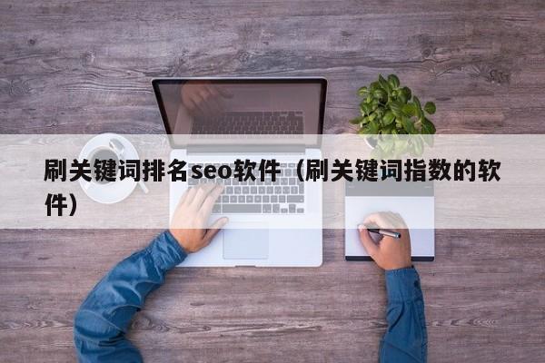 刷关键词排名seo软件（刷关键词指数的软件）