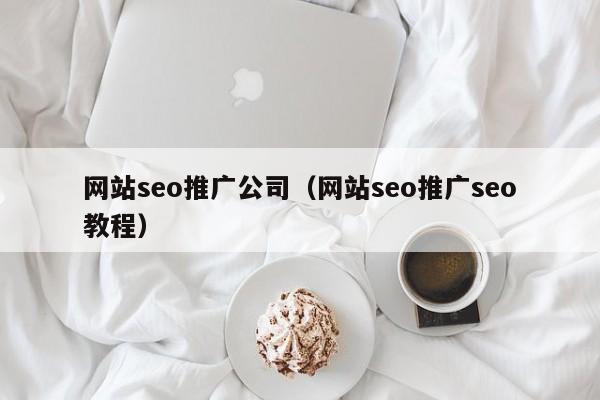 网站seo推广公司（网站seo推广seo教程）