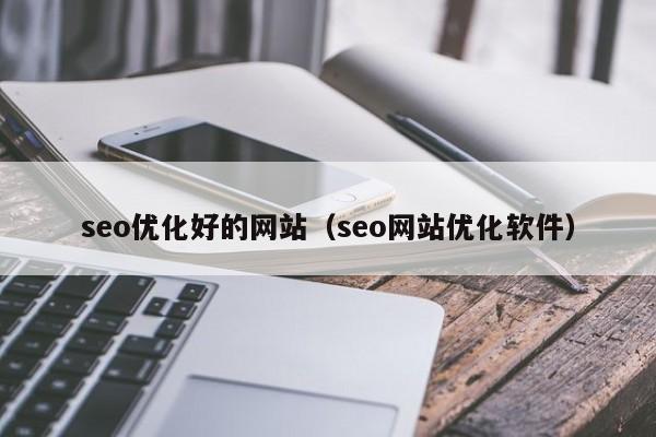 seo优化好的网站（seo网站优化软件）