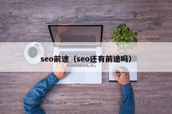 seo前途（seo还有前途吗）