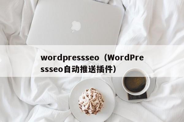 wordpressseo（WordPressseo自动推送插件）