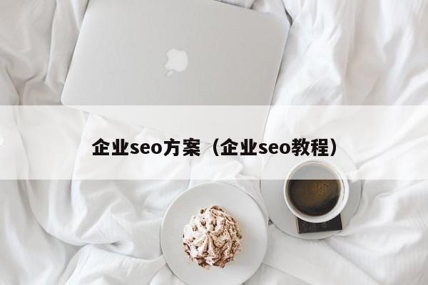 企业seo方案（企业seo教程）