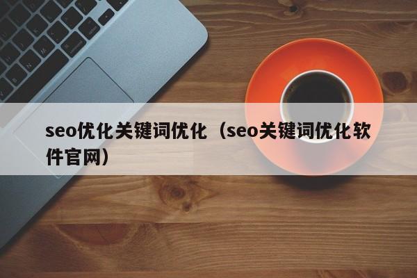 seo优化关键词优化（seo关键词优化软件官网）