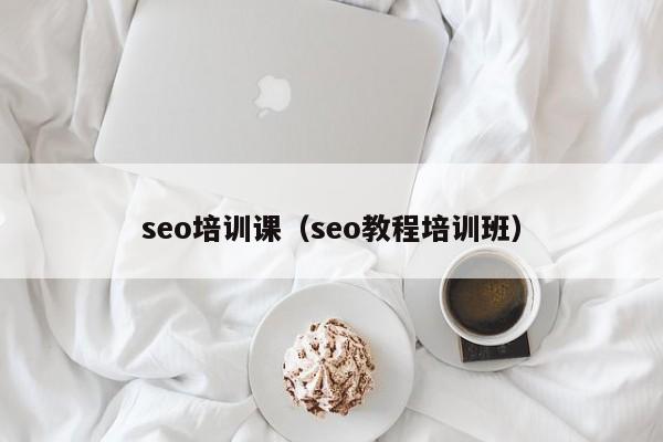 seo培训课（seo教程培训班）