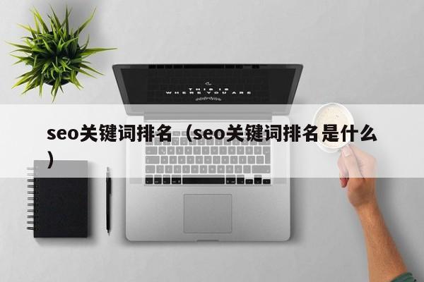 seo关键词排名（seo关键词排名是什么）