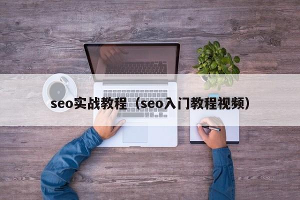 seo实战教程（seo入门教程视频）