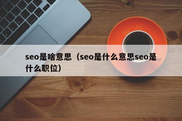 seo是啥意思（seo是什么意思seo是什么职位）