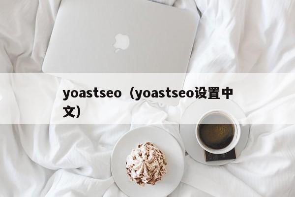 yoastseo（yoastseo设置中文）