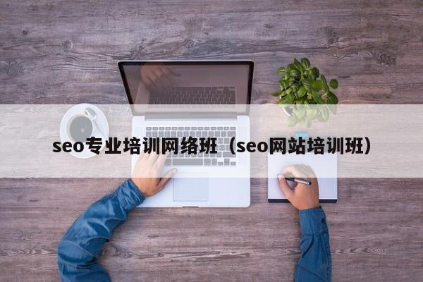 seo专业培训网络班（seo网站培训班）