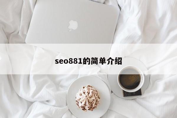 seo881的简单介绍