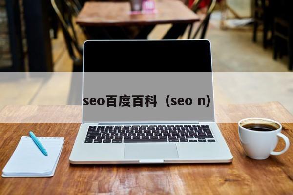 seo百度百科（seo n）