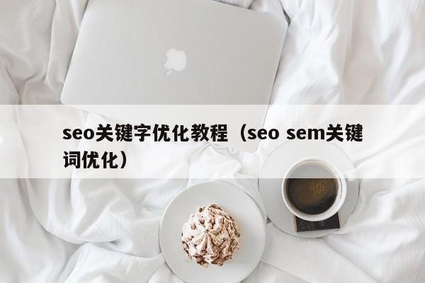 seo关键字优化教程（seo sem关键词优化）