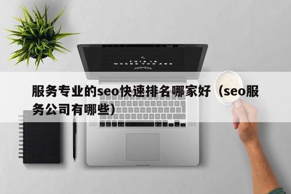 服务专业的seo快速排名哪家好（seo服务公司有哪些）