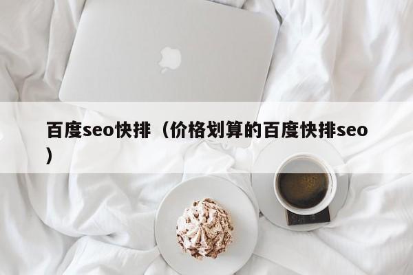 百度seo快排（价格划算的百度快排seo）