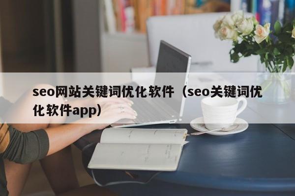 seo网站关键词优化软件（seo关键词优化软件app）