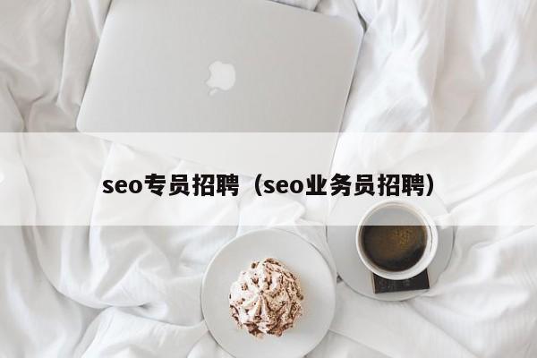 seo专员招聘（seo业务员招聘）