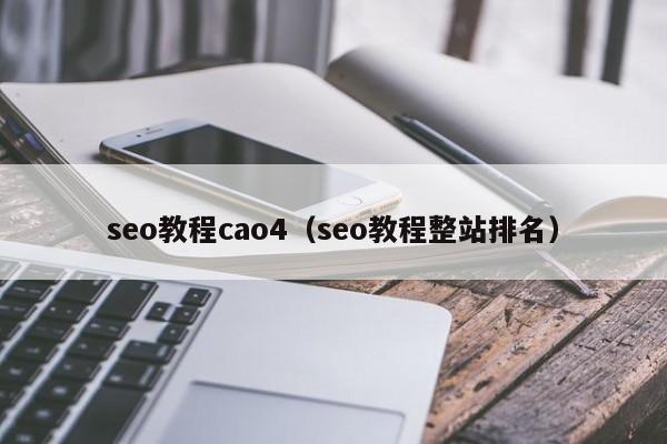 seo教程cao4（seo教程整站排名）