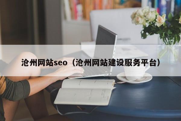 沧州网站seo（沧州网站建设服务平台）