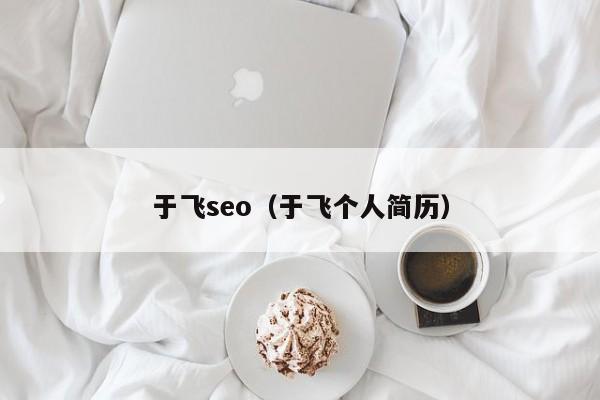 于飞seo（于飞个人简历）