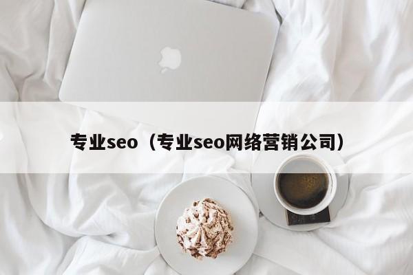 专业seo（专业seo网络营销公司）