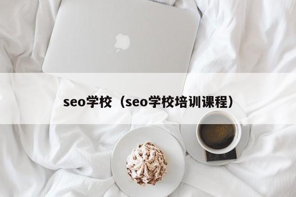 seo学校（seo学校培训课程）