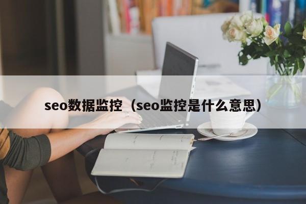 seo数据监控（seo监控是什么意思）