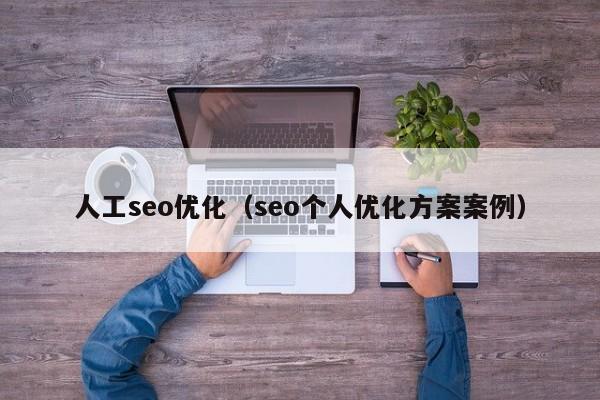 人工seo优化（seo个人优化方案案例）